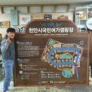 천안시국민여가캠핑장 이미지