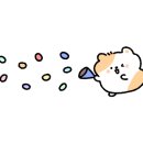 오늘의 안경(춘천강원대점) 이미지