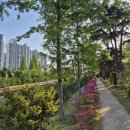 학생 전희 효자비 이미지