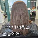 주정차-40 | 단홍헤어 복구매직 후기｜8년째 단골이 될 수밖에 없는 이유
