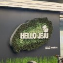 [문화여행] 제주 나 혼자 간다 | 혼자옵서예 제주 여행 다녀왔수다