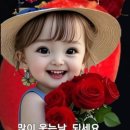 참숯사랑