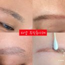 눈썹생각