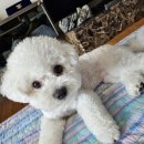 (유)큐리더 이미지