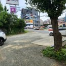 슈즈크린 | [거제/수월]👟슈즈크린/수월운동화빨래방/수월빨래방/거제유모차빨래방