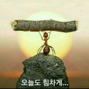 (주)글로벌강원무역