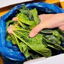 산촌농장(2) 이미지