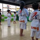 TS태성태권도 아카데미 이미지