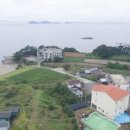 반도스파인 이미지