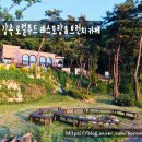 영산로 288 이미지