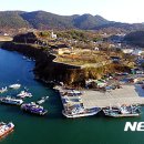 보령레포츠