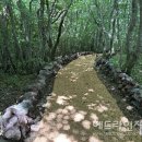 절물생태관리소 (절물자연휴양림) 이미지