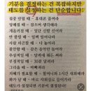 분당내곡로(광장로) | 옹기종기 정다웁게 3월 (스타필드수원, 아이와강릉여행, 서울타워, 서울대공원, 위매거진)