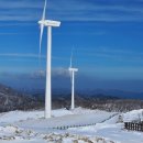 삼양목장 이미지