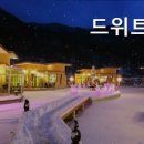 드위트리 풀빌라펜션 & 카라반가든 이미지