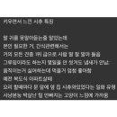 봉구스햄님 이미지
