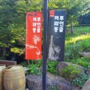 오방색권역 이미지