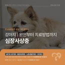 심동물병원