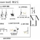 강아지 마음 이미지