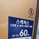 롯데아울렛스케쳐스