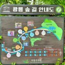 광릉숲음식문화특화테마거리 이미지