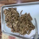 개성할매전통육개장 이미지