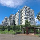 서호동-50 이미지