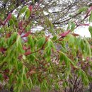 다리골가든 이미지