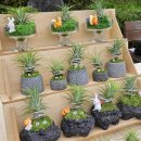 [옥정]힐링원예 「화기와 식물」 | 초록 체험_추석 연휴 서대문 국가유산 야행 "별의 서재" 플리마켓 참여 후기