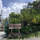 아나호텔 | 아나만다라 달랏 호텔 숙박 후기