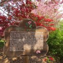 완산공원(정상) Daum카페