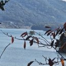 한그루공인중개사사무소 이미지