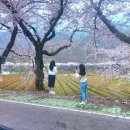 십리벚꽃산장 이미지
