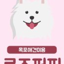 로즈퍼피 네이버블로그