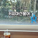 커피마신붕어