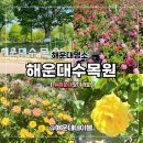 반여농산물시장역 | 부산 가족나들이 추천 해운대수목원 실시간 장미개화상황 솔직후기