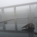 한라수목원 (제주고등학교방면) 이미지