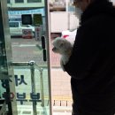 송탄온누리약국 이미지