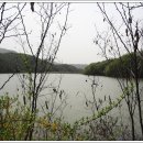 발랑1리 이미지