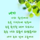 연세 다윗 이미지