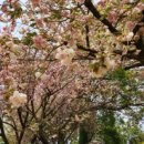 선흘1리 경로당 이미지