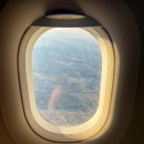 하늘바이오 | 김포공항 국내선 라운지 바이오등록 아시아나 라운지 카운터 이용