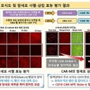 카엠