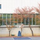 청소년수련관 농구장 이미지