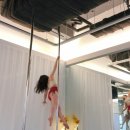 573 | 일산 폴댄스 폴린이 국화의 573회차 수업 후기 입초급 프리지아