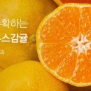 특가N마켓