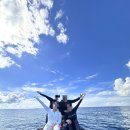 즐거운시간 | 세부 플라워트리 호핑투어로 가족과 함께 즐거운 시간! 내돈내산 후기 &lt;대만족,강추!&gt;