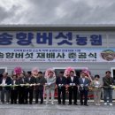 송향버섯