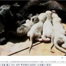 뽀송뽀송