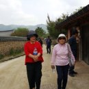 김성곤농장 이미지